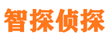 昌江县市私家侦探